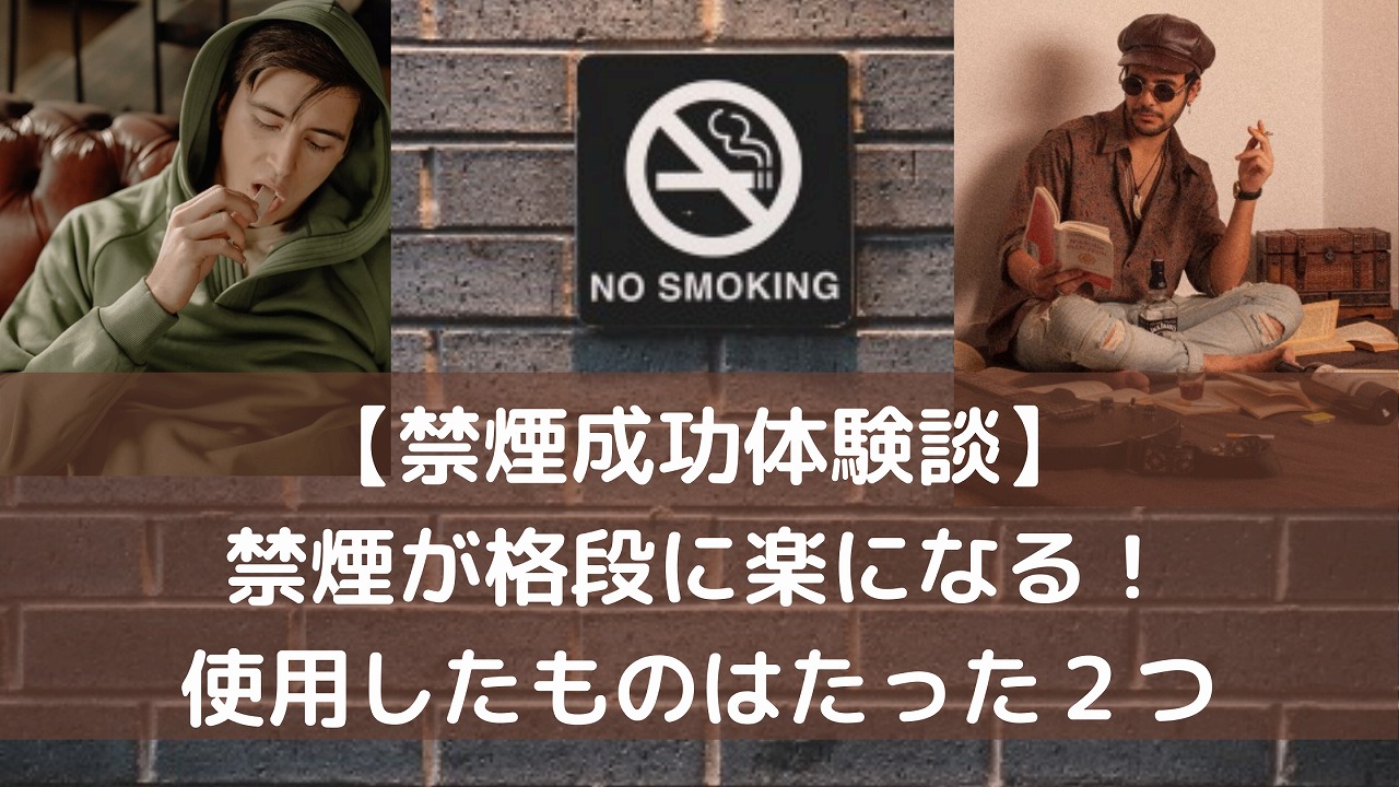 禁煙成功体験談 禁煙が格段に楽になる 使用したものはたった２つ かとひでブログ